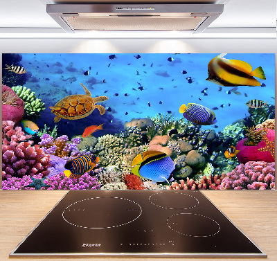 Pannello retrocucina con motivo barriera corallina