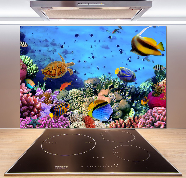Pannello retrocucina con motivo barriera corallina
