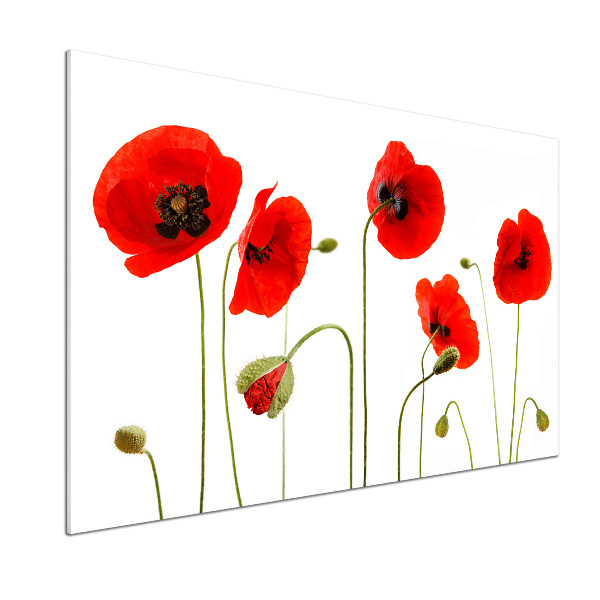 Rivestimento parete cucina con motivo papaveri