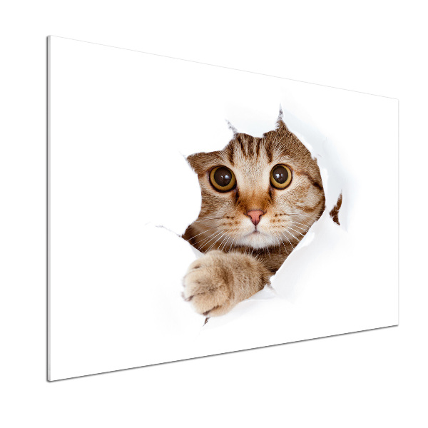 Pannello paraschizzi cucina con motivo a gatto