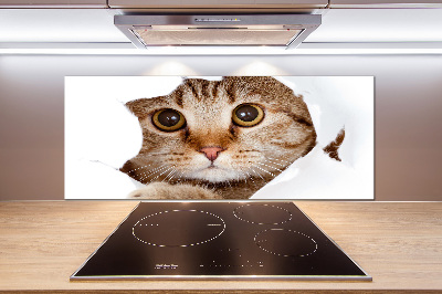 Pannello paraschizzi cucina con motivo a gatto