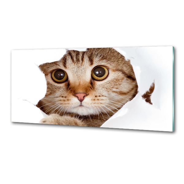 Pannello paraschizzi cucina con motivo a gatto