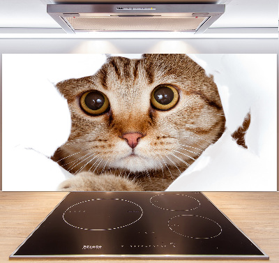 Pannello paraschizzi cucina con motivo a gatto
