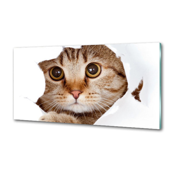 Pannello paraschizzi cucina con motivo a gatto