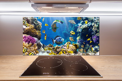 Rivestimento parete cucina con motivo barriera corallina