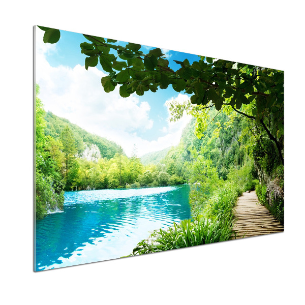 Pannello retrocucina con stampa Cascata nella foresta