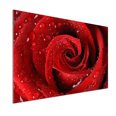 Rivestimento parete cucina con motivo di gocce su una rosa