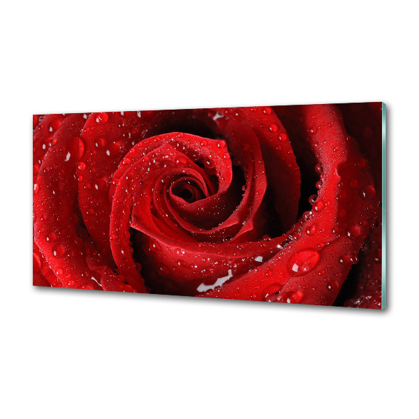 Rivestimento parete cucina con motivo di gocce su una rosa