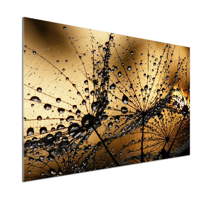 Pannello retrocucina con motivo a semi di tarassaco