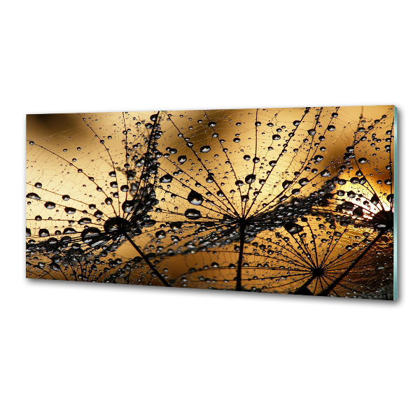 Pannello retrocucina con motivo a semi di tarassaco