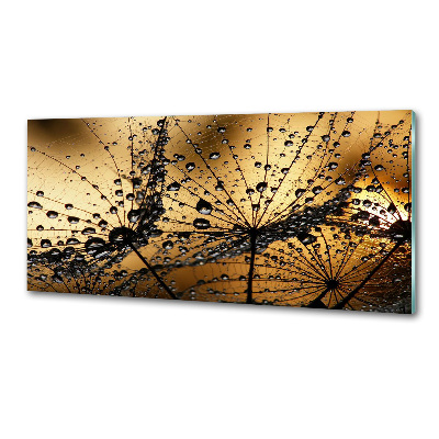 Pannello retrocucina con motivo a semi di tarassaco