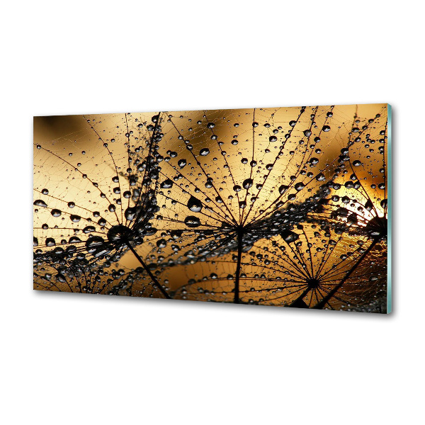 Pannello retrocucina con motivo a semi di tarassaco