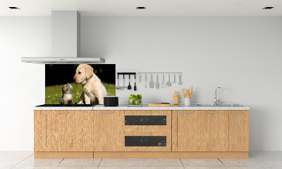 Pannello retrocucina con stampa raffigurante un cane e un gatto nel prato