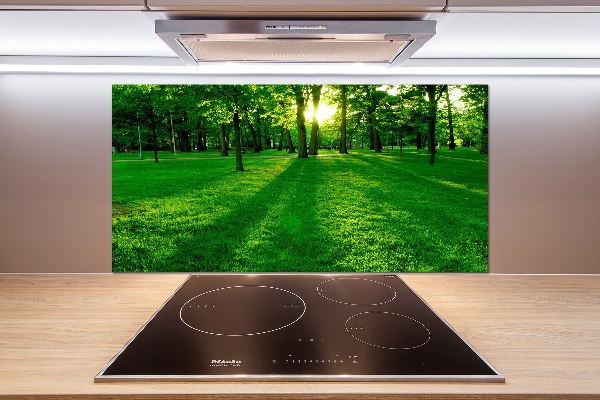 Pannello retrocucina con la stampa 