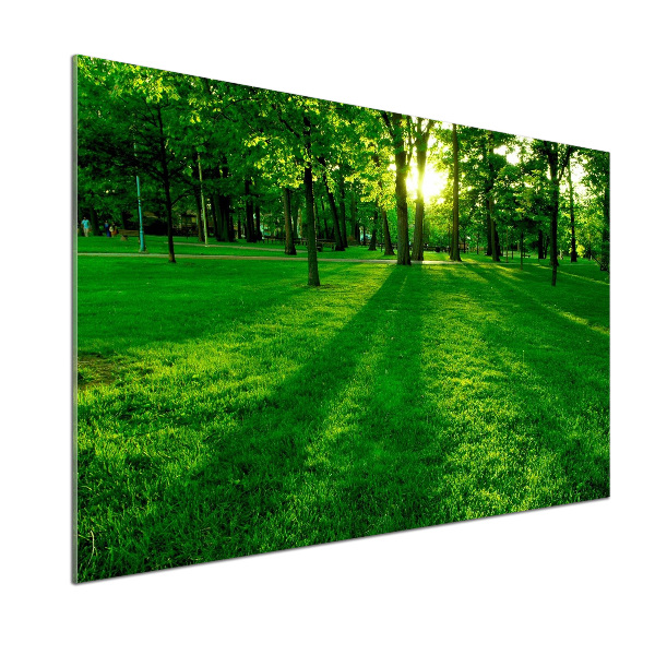 Pannello retrocucina con la stampa 