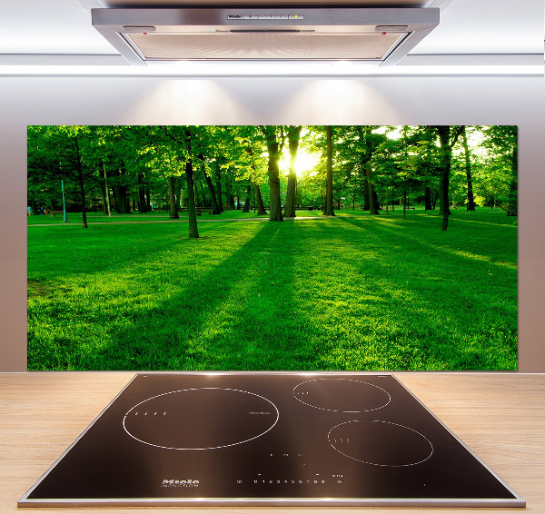 Pannello retrocucina con la stampa 