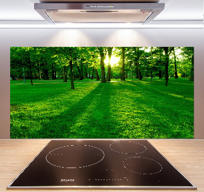 Pannello retrocucina con la stampa 