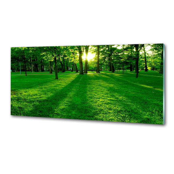 Pannello retrocucina con la stampa 