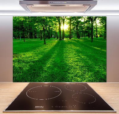 Pannello retrocucina con la stampa 