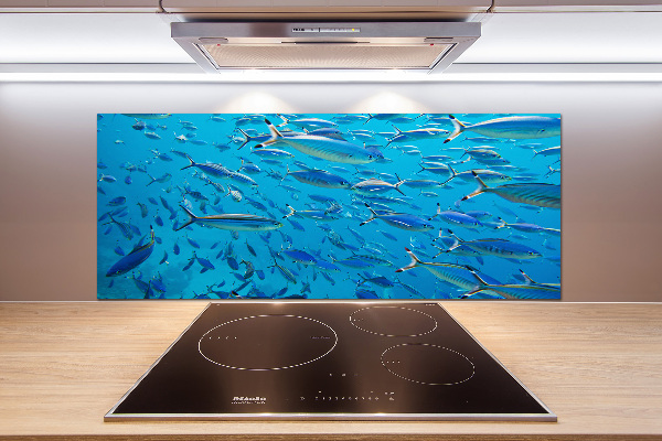 Pannello paraschizzi cucina con motivo pesce corallo