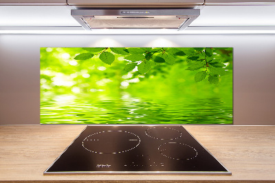 Pannello retrocucina con motivo di foglie verdi