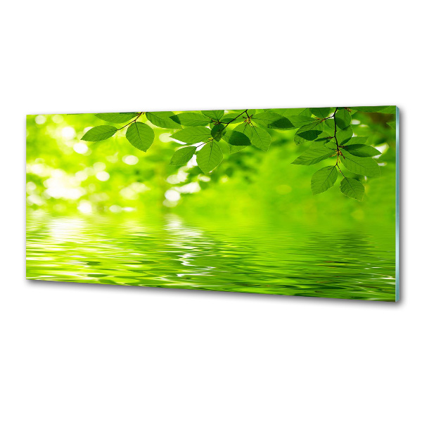 Pannello retrocucina con motivo di foglie verdi