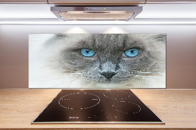 Pannello retrocucina con stampa di un gatto dagli occhi azzurri