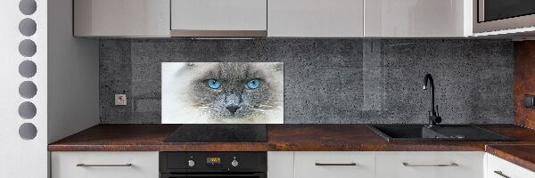 Pannello retrocucina con stampa di un gatto dagli occhi azzurri