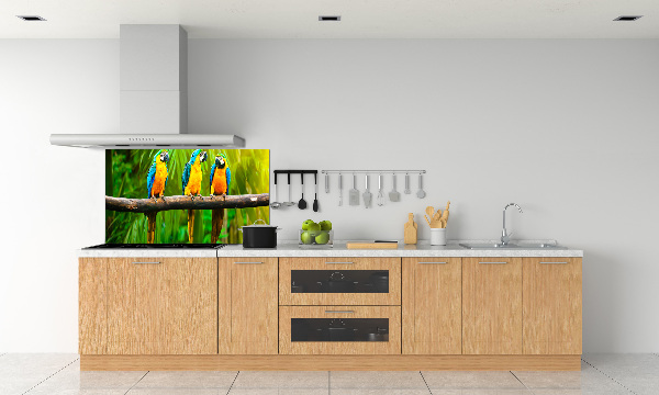 Pannello paraschizzi cucina con stampa di pappagalli su un ramo