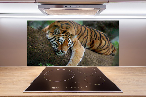 Rivestimento parete cucina con decorazione raffigurante una tigre su un albero