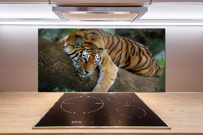 Rivestimento parete cucina con decorazione raffigurante una tigre su un albero