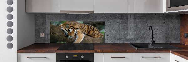 Rivestimento parete cucina con decorazione raffigurante una tigre su un albero