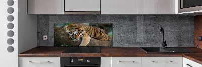 Rivestimento parete cucina con decorazione raffigurante una tigre su un albero