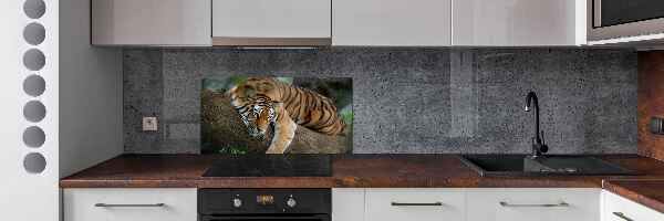 Rivestimento parete cucina con decorazione raffigurante una tigre su un albero