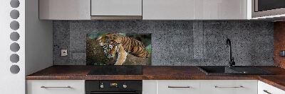 Rivestimento parete cucina con decorazione raffigurante una tigre su un albero