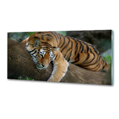 Rivestimento parete cucina con decorazione raffigurante una tigre su un albero