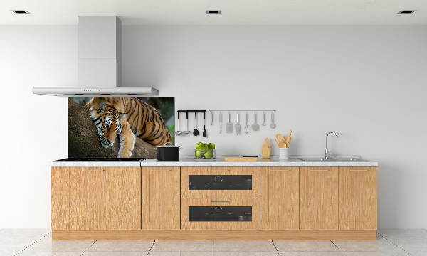 Rivestimento parete cucina con decorazione raffigurante una tigre su un albero
