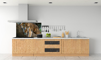 Rivestimento parete cucina con decorazione raffigurante una tigre su un albero