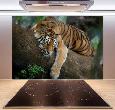 Rivestimento parete cucina con decorazione raffigurante una tigre su un albero