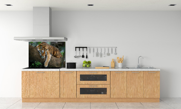 Rivestimento parete cucina con decorazione raffigurante una tigre su un albero