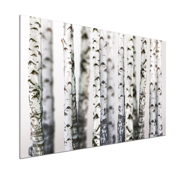 Pannello retrocucina con stampa a motivo tronchi di betulla