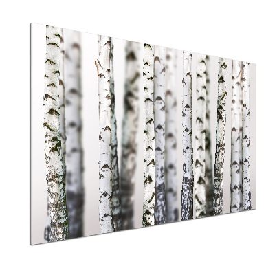 Pannello retrocucina con stampa a motivo tronchi di betulla