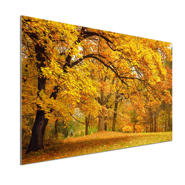 Pannello paraschizzi cucina con stampa 