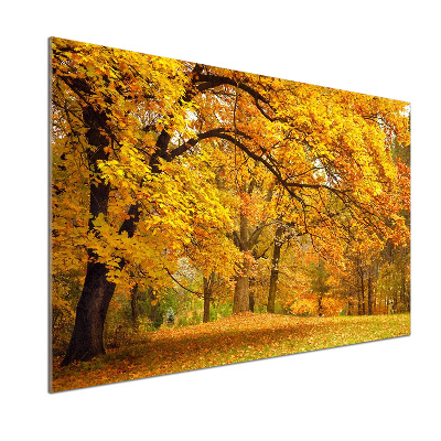 Pannello paraschizzi cucina con stampa 