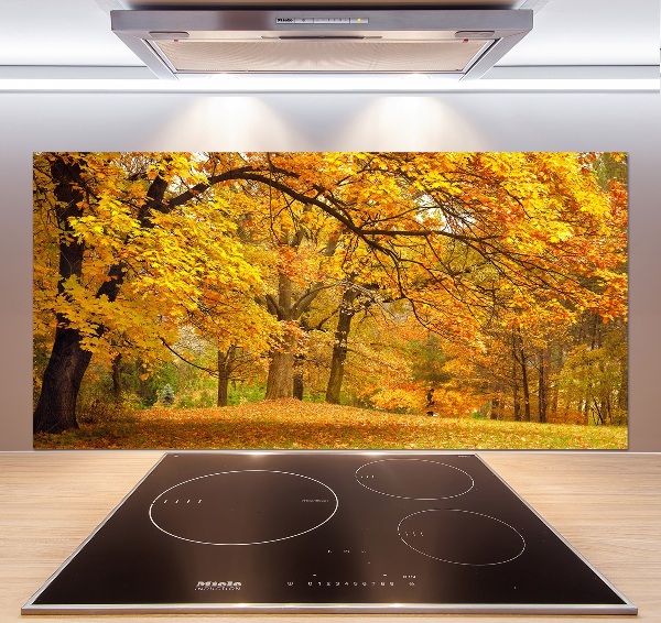 Pannello paraschizzi cucina con stampa 