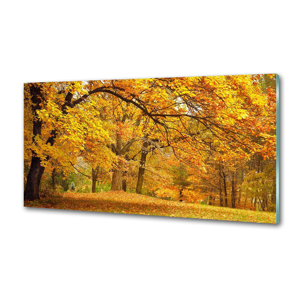 Pannello paraschizzi cucina con stampa 