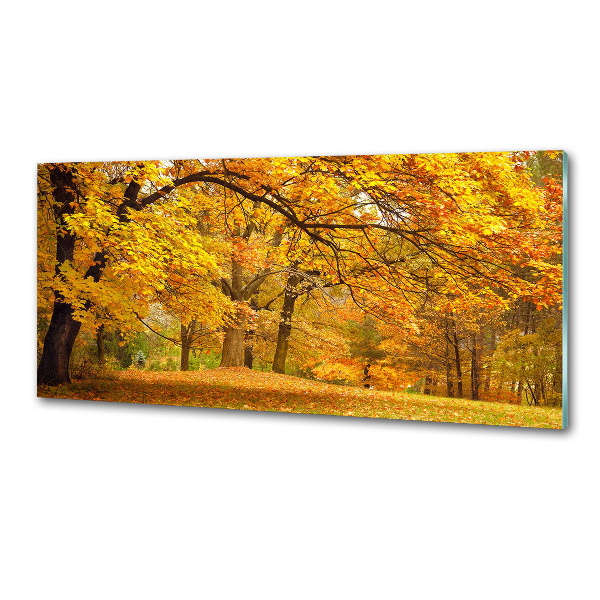 Pannello paraschizzi cucina con stampa 