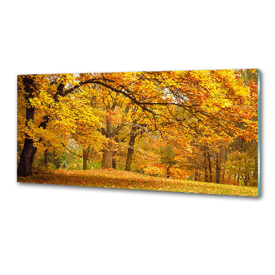 Pannello paraschizzi cucina con stampa 