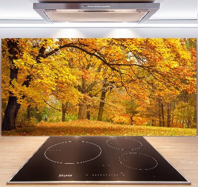 Pannello paraschizzi cucina con stampa 