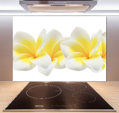 Rivestimento parete cucina con motivo Plumeria